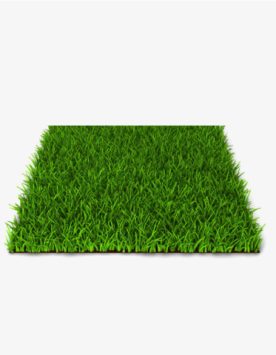 NZ Landscape Artificial grass