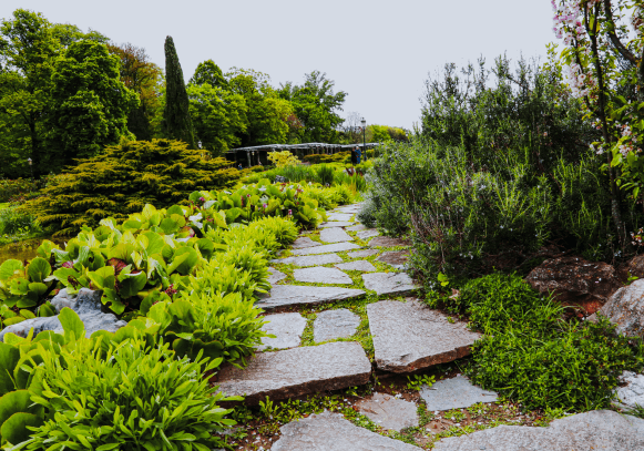 Stone pathway surrounded by lush greenery and meticulously arranged plants