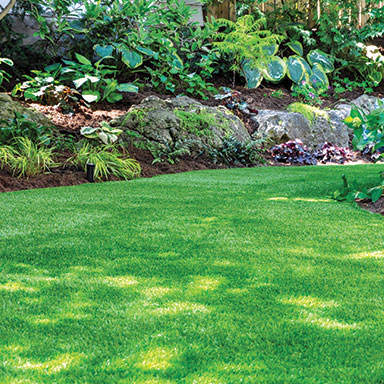 Horticulture Maintenance